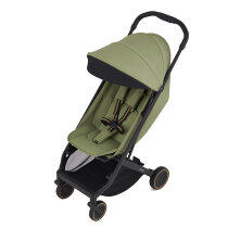Прогулянкова коляска Anex Air-X2 (Vert)