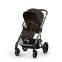 TPE / Chocolate Brown