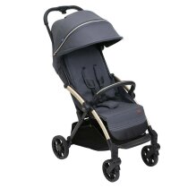 Прогулянкова коляска Chicco Goody XPlus Stroller (колір 27)