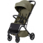 14 Indyvidual Olive