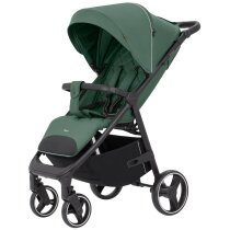Прогулянкова коляска Carrello Bravo CRL-5512 (Spring Green)