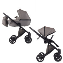 Універсальна коляска 2 в 1 Anex e/type 2021/22 (Gothic)