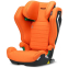 Vibrant Orange