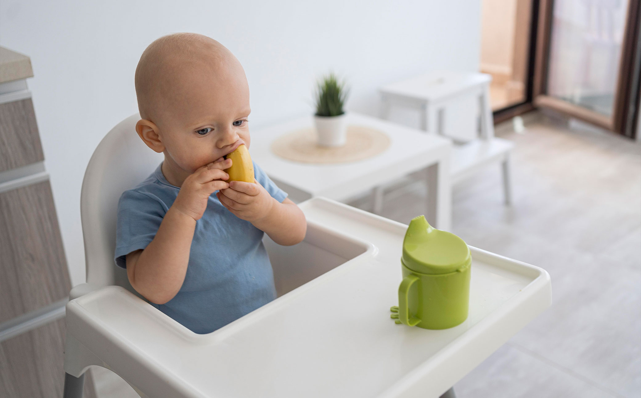 Що потрібно для прикорму малюка: купуємо все необхідне &mdash; Аvtokrisla.com, зображення 5